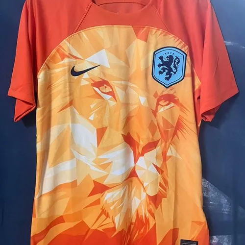 2024 Netherlands Orange Special Edition Fans Soccer Jersey